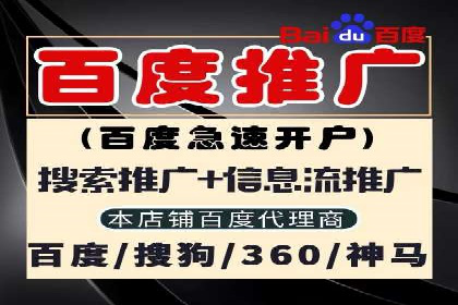 案例分析：SEM推广助力中小企业崛起